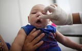 [ẢNH] Trước virus Corona, những dịch bệnh nào từng khiến WHO phải ban bố tình trạng khẩn cấp y tế toàn cầu?